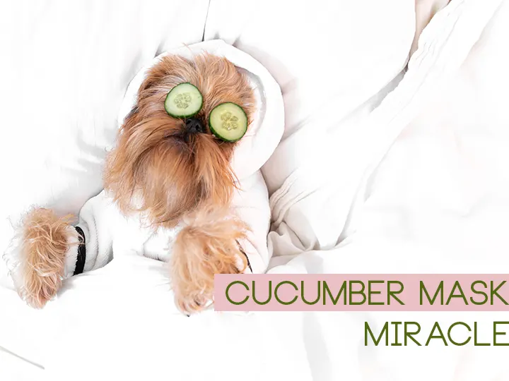 Cucumber Mask Miracle