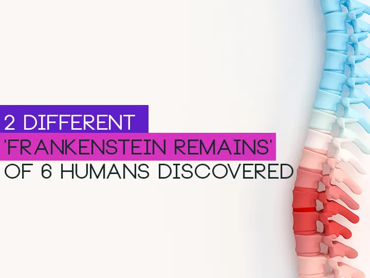 2 Different 'Frankenstein Remains' Of 6 Humans Discovered