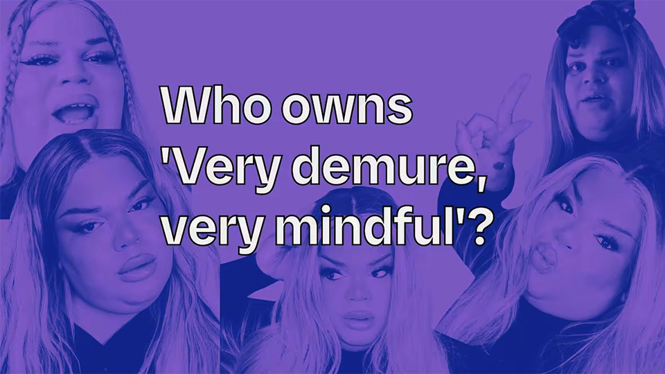 A Comprehensive Guide to the "Very Demure, Very Mindful" Trademark Dispute: What You Need to Know