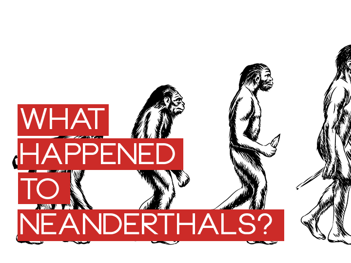 What  Happened To Neanderthals?