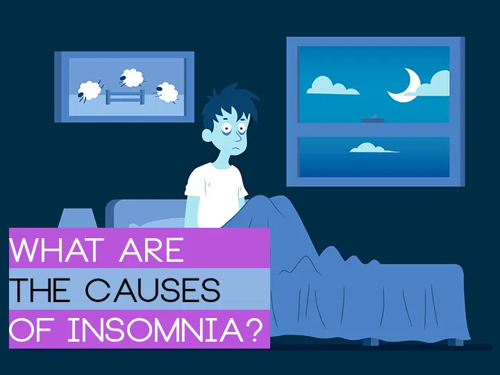 What Are The Causes Of Insomnia?