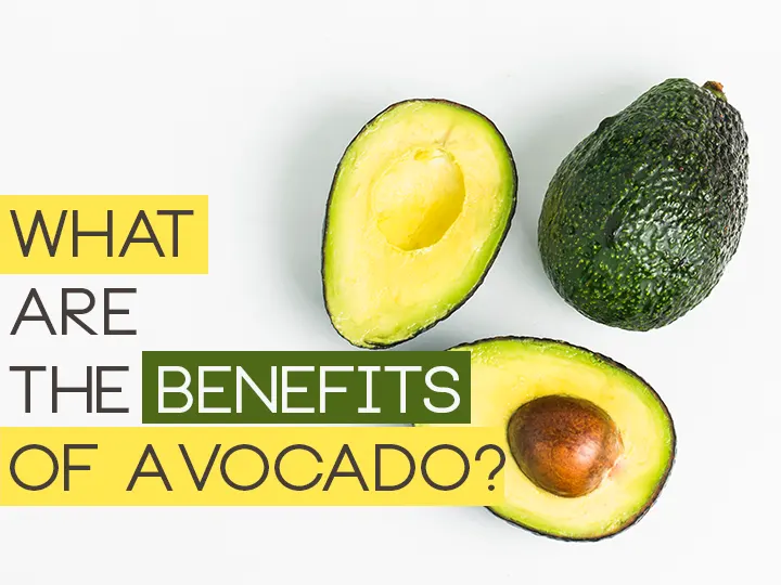 What Are the Benefits Of Avocado?