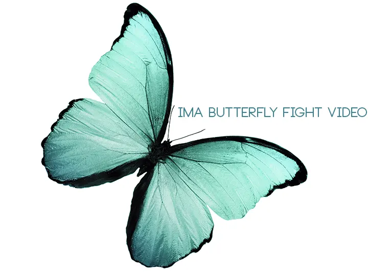 Ima Butterfly Fight Video