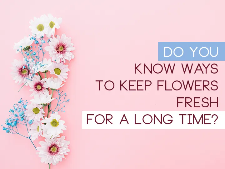Do You Know Ways To Keep Flowers Fresh For A Long Time?