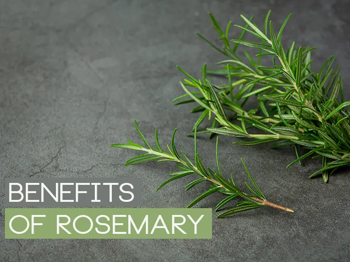 Benefits of Rosemary