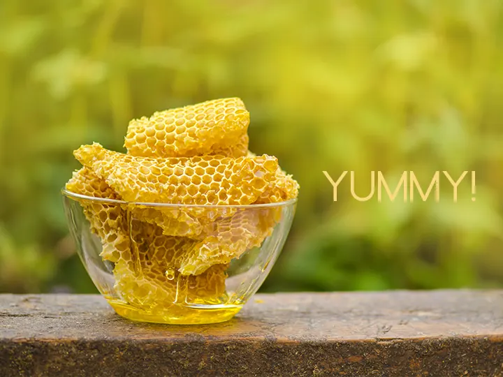 How to Obtain Comb Honey and What are its Benefits?