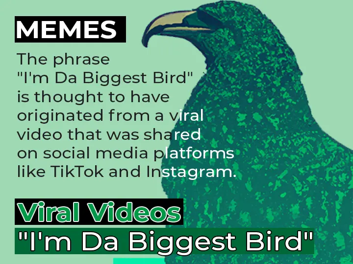 Viral Memes : "I'm Da Biggest Bird"
