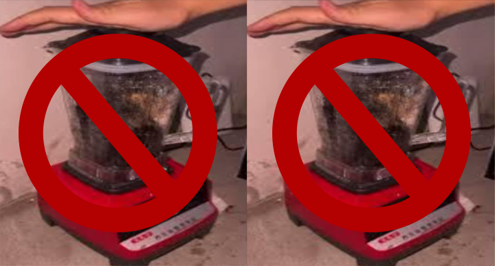 Viral Video Involving a Cat and Blender Sparks Outrage Online : Cat Blender Video