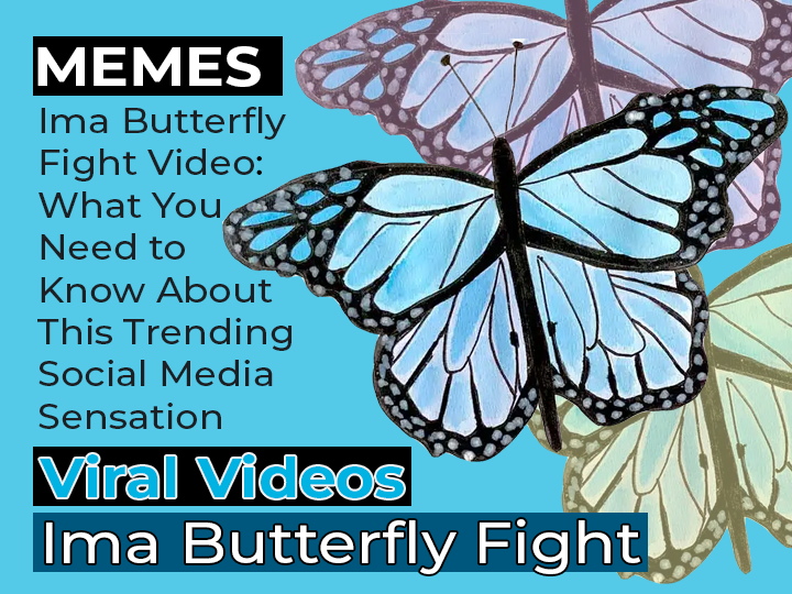 Ima Butterfly Fight Video: What You Need to Know About This Trending Social Media Sensation